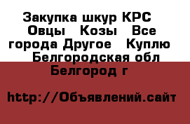 Закупка шкур КРС , Овцы , Козы - Все города Другое » Куплю   . Белгородская обл.,Белгород г.